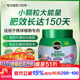美乐棵绣球盆栽绿植花肥肥料控释营养粒家庭园艺肥料绣球型 250g/瓶