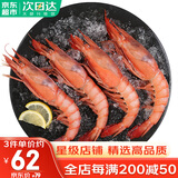 哆鲜生 超大红魔虾 远洋捕捞胭脂魔鬼红虾鲜活冷冻生腌刺身级生鲜虾类 帕拉莫斯红魔虾7-9条 400g(净重)