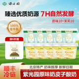 紫光园奶皮子酸奶北京特产低温原味京城茉莉【顺丰】送女友年货礼盒 【新品】 原味10+茉莉味10+礼袋