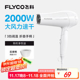 飞科（FLYCO）电吹风机家用发廊大功率2000W速干恒温便携可折叠白色FH6232