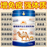 牧场趣新疆正宗骆驼奶粉中老年高钙益生菌奶粉高蛋白增强免疫力成人奶粉 1罐装【1000g】三高糖尿放心喝
