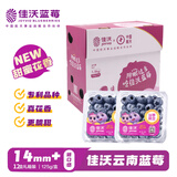 佳沃（JOYVIO）云南蓝莓甜蜜花香系列14mm+ 12盒礼箱装 约125g/盒 生鲜水果礼盒 