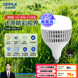 欧普（OPPLE）LED灯泡2级能效灯泡E27螺口商用摆摊大功率厂房工矿灯100瓦白光