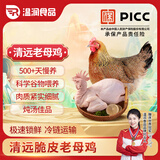 温润食品液氮清远脆皮老母鸡2.4斤 500天以上生态散养原种清远老母鸡 土鸡