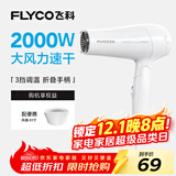 飞科（FLYCO）电吹风机家用发廊大功率2000W速干恒温便携可折叠白色FH6232