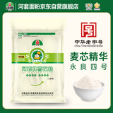 河套 雪花粉500g 中华老字号包子饺子馒头通用小麦粉