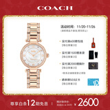 蔻驰（COACH）CARY系列镶钻贝母表盘钢带石英女表14503838 礼物/送礼