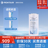 滨特尔（pentair） 全屋净水器家用大蓝瓶大流量大白瓶大胖瓶通用滤芯 10寸KDF+活性炭双效滤芯