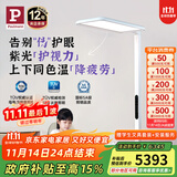 Paulmann P 德国柏曼护眼台灯骑士灯 学习LED全光谱落地灯读写大路灯儿童