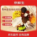 京鲜生云南鲜菌菇组合菌净重2斤羊肚菌牛肝菌煲汤火锅食材源头直发