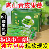 鲜级佳陶山甘蔗青皮整根现砍 脆甜绿皮蔗当季应季新鲜孕妇时令水果礼盒 净重5斤精选装【中间两个节】