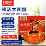 【活蟹】鲜京采大闸蟹 公蟹5两 母蟹4两 4对8只 去绳足重 蟹类螃蟹河蟹生鲜礼盒