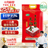 十月稻田 2025年新米 长粒香大米 5斤（东北大米 香米 2.5公斤/五斤）