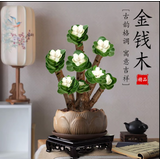 OEMG金钱木盆栽招财植物多肉老桩室内客厅办公室桌面四季好养绿植花卉 玉锦金钱木3-5枝头+（原厂塑料盆） 招财植物 15天包活