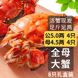 【活蟹】乾澄大闸蟹现货公蟹5.0两母蟹4.5两 8只4对 鲜活螃蟹河蟹水产海鲜礼盒源头直发
