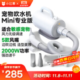 小红栗吹水机宠物吹风机狗狗吹水机吹毛吹干神器低噪大功率大型犬