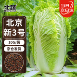 北蔬 北京新三号白菜种子种苗秋季种蔬菜种籽 北京新三号种子10g