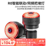 洛克兄弟（ROCKBROS）自行车尾灯USB充电骑行安全夜骑车灯警示灯公路山地车尾灯配件 智能同频刹车把堵灯 RO (一对)