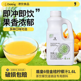 Doking盾皇6倍浓缩果汁饮料商用 奶茶饮品店专用果味浓浆原料批发 金桔柠檬汁