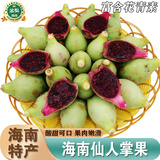 南步海南仙人掌果 可食用野生红心仙桃果实大果稀奇古怪新鲜热带水果 仙人掌果 0.5斤精选装【15-20个/斤】