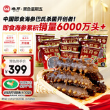 晓芹大连冷冻即食海参500g 10-14只 辽刺参 海鲜水产 