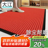 大江入户地垫脚垫进户门2025年新款门垫玄关地毯门口入户80x120cm