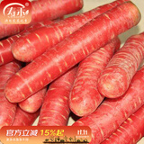 寿禾 天津沙窝萝卜种子秋冬季大全水果青罗卜季长白寿光蔬菜菜籽种孑  玫瑰红胡萝卜种子2g约1500粒