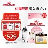 皇家幼猫猫粮 幼猫奶糕 K36 通用粮 4-12月 10KG