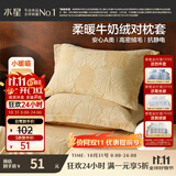 水星家纺枕套牛奶绒冬季双面保暖对枕套抗静电A类枕头罩一对装双人48x74cm