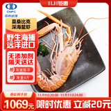 中水远洋进口莫桑比克鳌虾深海捕捞净重4斤活冻锁鲜精品海鲜礼盒水产刺身