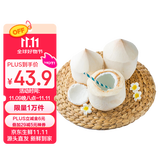 京鲜生泰国进口椰青 9个装 大果单果900g+ 水果 送礼 源头直发包邮 