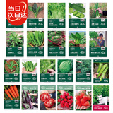 寿禾 蔬菜种子大全各种秋冬香菜萝卜菠菜白菜生菜籽 22种蔬菜种子大全