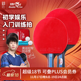 双鱼（DOUBLE FISH） 乒乓球拍初学者成品拍双面反胶皮套装快攻型学生业余训练乒乓拍 套拍 316A一横一直