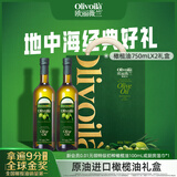 欧丽薇兰（Olivoila）橄榄油礼盒750ml*2 压榨原油进口食用油节日送礼企业团购福利 1500mL*1盒