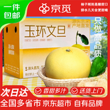 京觅浙江玉环文旦柚 5.5斤 2粒礼盒装 单果2.4斤+ 生鲜水果 源头直发