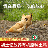 初土记  有机原种土鸡950g 林下慢长720天皖南老母鸡品质月子鸡原产地