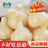 屹禾苗（YIHEMIAO）正宗山东精品糖醋蒜头下饭菜即食新蒜腌制火锅解腻新鲜独立包装 精品糖蒜500g*2袋