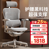 Ergonor保友金豪b雄鹰 人体工学椅 电脑椅 电竞椅办公椅子可躺老板椅 【金豪b雄鹰X】银白网