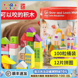 Hape100粒儿童木制积木大颗粒字母数字启智拼装婴儿儿童生日礼物 HAPE【桶装版】100粒积木