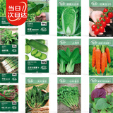 寿禾 蔬菜种子套装大全秋冬季白菜萝卜大葱菠菜香菜 13种蔬菜种子大全