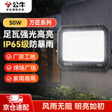公牛（BULL）LED投光灯户外庭院工厂园林灯露营灯 IP65防水等级50W万匠系列MG-D050A-AE-6500K白光