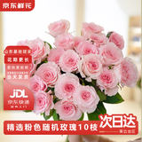 京东鲜花玫瑰花粉色随机10枝如意基地鲜切花水养插花生活花束送礼源头直发