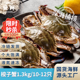 【冷冻】至鲜 梭子蟹2.6斤/10-12只整只液氮无包冰新鲜大螃蟹2-3两/只吕四黄海海蟹