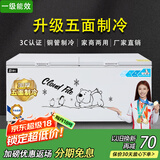 北极川冰柜商用智能温控卧式大容量冷柜家用冷藏冷冻展示柜冰箱保鲜柜雪糕柜 五面制冷|长1.7米双门|智能铜管白单温