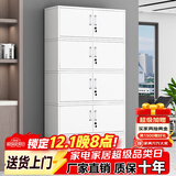 常晟（CHANGSHENG） 文件柜办公室柜钢制铁皮柜资料柜档案存放柜财务室文件柜带锁 分五节档案柜 经济款