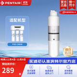 滨特尔（pentair） 净水器家用 PRO-500M 500G 节水大流量纯水机滤芯 简易更换 DFX型一体式聚丙烯炭棒滤芯