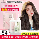 施华蔻冷烫药水烫发水精家用卷发软化羊毛卷定位液离子刘海烫头发膏剂 【正常发质】贈2号大杠+全套工具