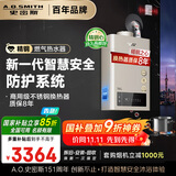 史密斯（A.O.SMITH）16升精钢燃气热水器 国家补贴 防一氧化碳中毒  智能APP 智慧安全 主动服务JSQ31-TM5Wi 以旧换新