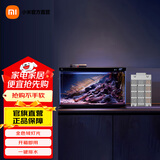 米家小米智能鱼缸 一体整机免装语音遥控半年免换水APP定时喂食水族箱 米家智能鱼缸+生化滤芯