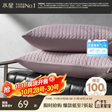 水星家纺枕套纯棉100%全棉防水隔污A类抑菌对枕套枕芯保护套一对装48x74cm